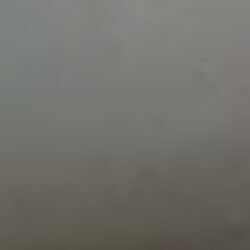 MA21 <br> Mouse Grey